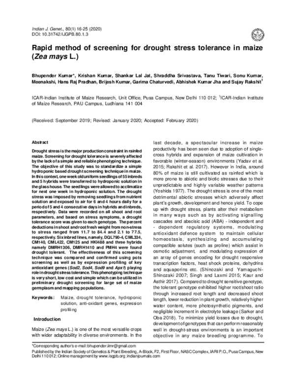 (PDF) Rapid method of screening for drought stress tolerance in maize ...