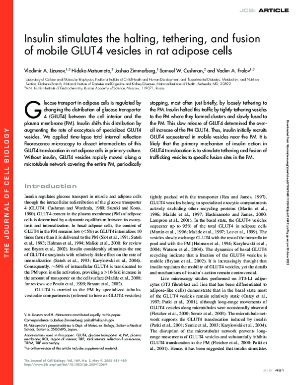 (PDF) Insulin stimulates the halting, tethering, and fusion of mobile ...