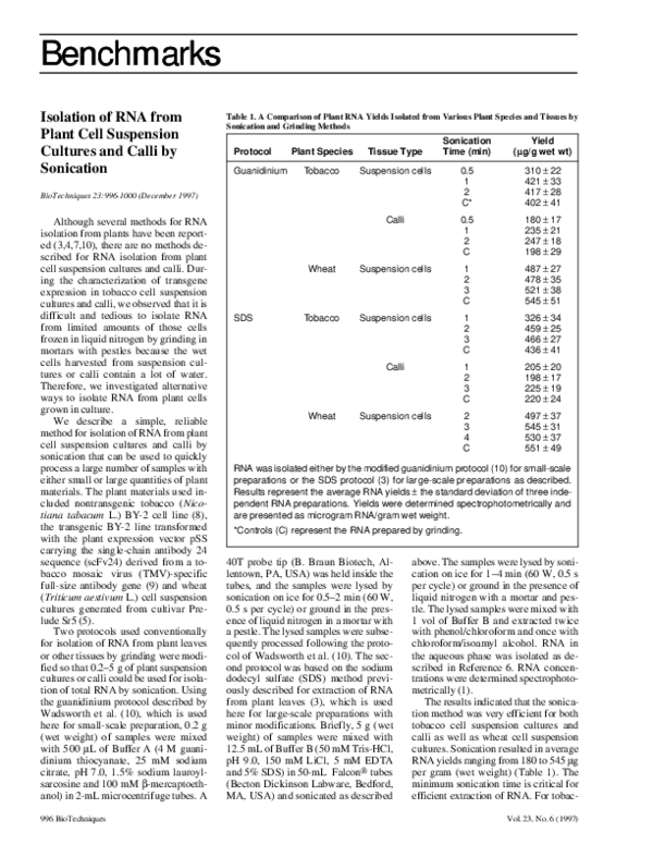(PDF) Isolation of RNA from Plant Cell Suspension Cultures and Calli by ...