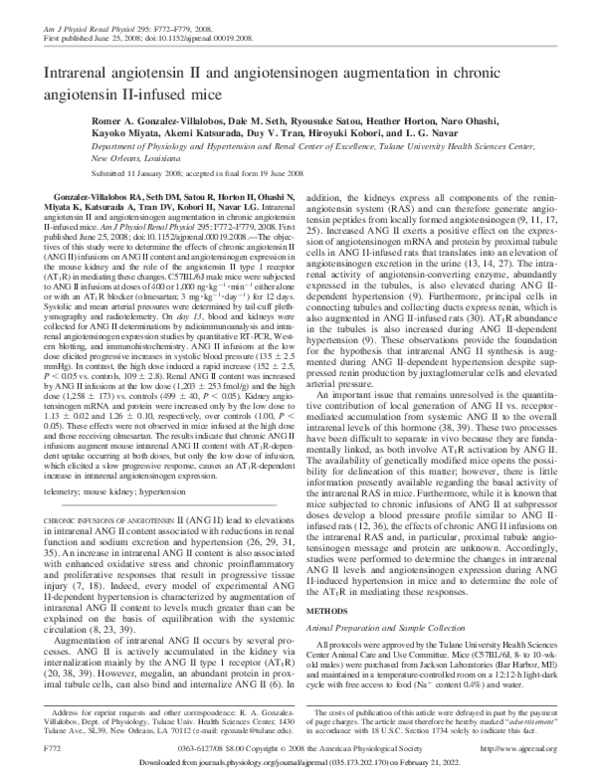 (PDF) Intrarenal angiotensin II and angiotensinogen augmentation in ...