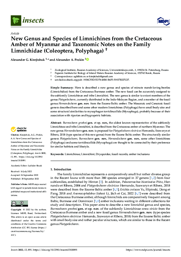 (PDF) New Genus and Species of Limnichines from the Cretaceous Amber of ...