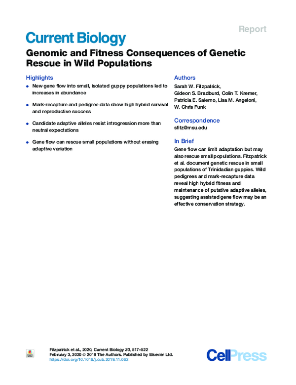 (PDF) Genomic and Fitness Consequences of Genetic Rescue in Wild ...