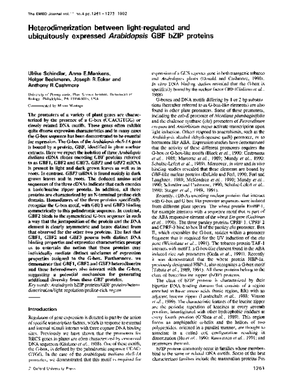 (PDF) Heterodimerization between light-regulated and ubiquitously ...