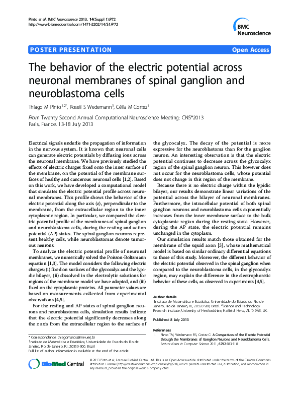 (PDF) The behavior of the electric potential across neuronal membranes ...