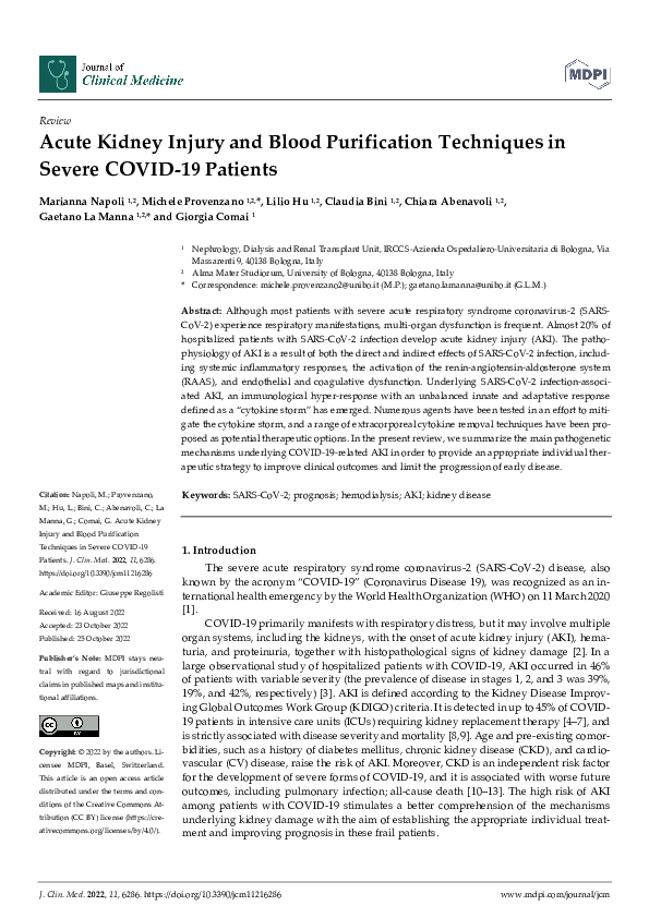 (PDF) Acute Kidney Injury and Blood Purification Techniques in Severe ...