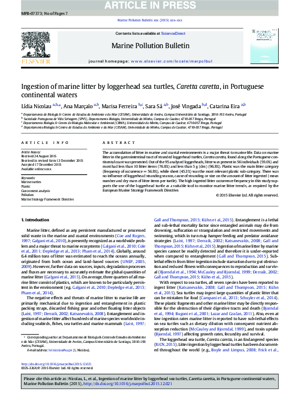 (PDF) Ingestion of marine litter by loggerhead sea turtles, Caretta ...