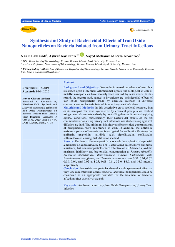 (PDF) Synthesis and Study of Bactericidal Effects of Iron Oxide ...