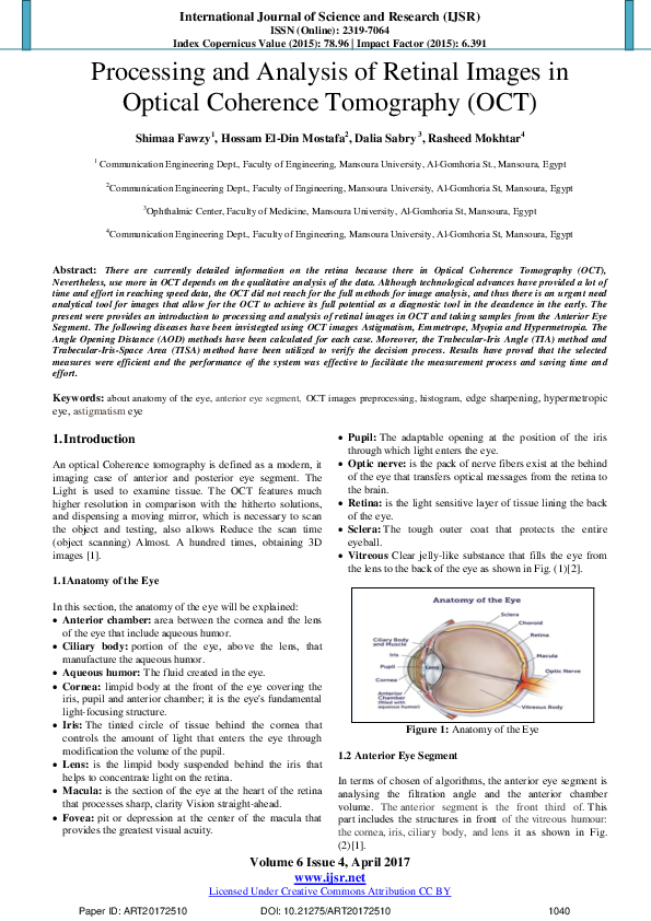 (PDF) Processing and Analysis of Retinal Images in Optical Coherence ...