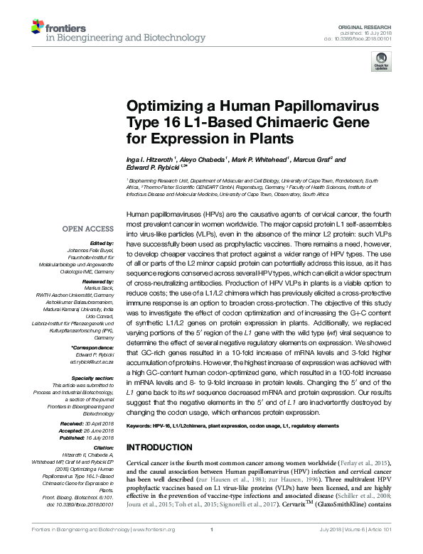 (PDF) Optimizing a Human Papillomavirus Type 16 L1-Based Chimaeric Gene ...