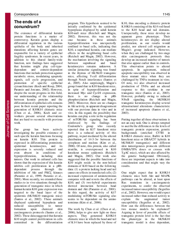 (PDF) The ends of a conundrum?