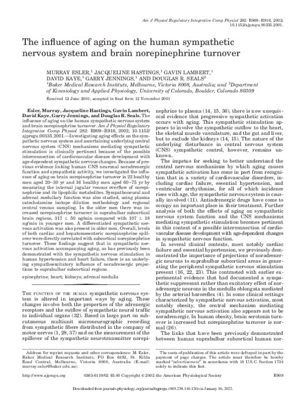 (PDF) The influence of aging on the human sympathetic nervous system ...