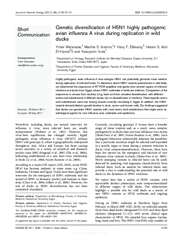 (PDF) Genetic diversification of H5N1 highly pathogenic avian influenza ...