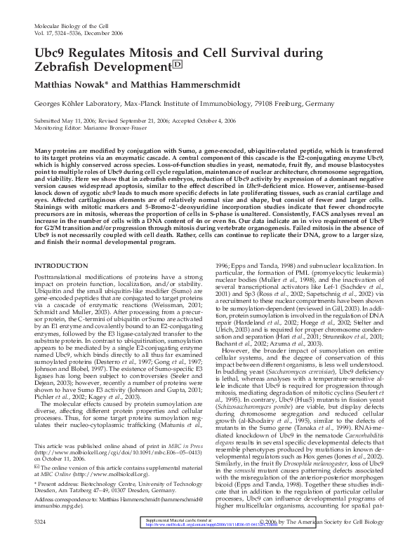 (PDF) Ubc9 Regulates Mitosis and Cell Survival during Zebrafish Development