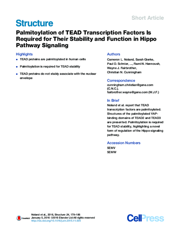 (PDF) Palmitoylation of TEAD Transcription Factors Is Required for ...