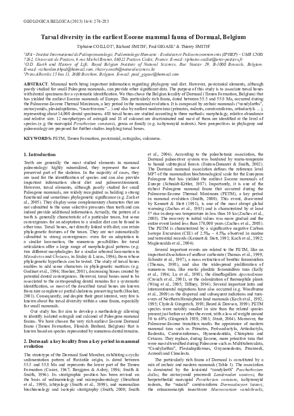 (PDF) Tarsal diversity in the earliest Eocene mammal fauna of Dormaal ...