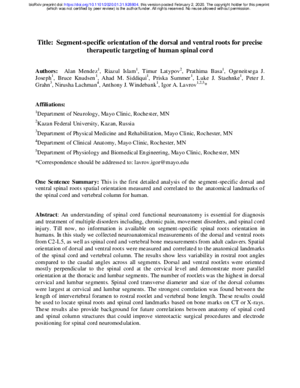 (PDF) Segment-specific orientation of the dorsal and ventral roots for ...