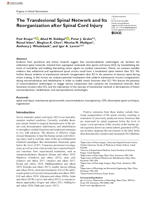 (PDF) The Translesional Spinal Network and Its Reorganization after ...