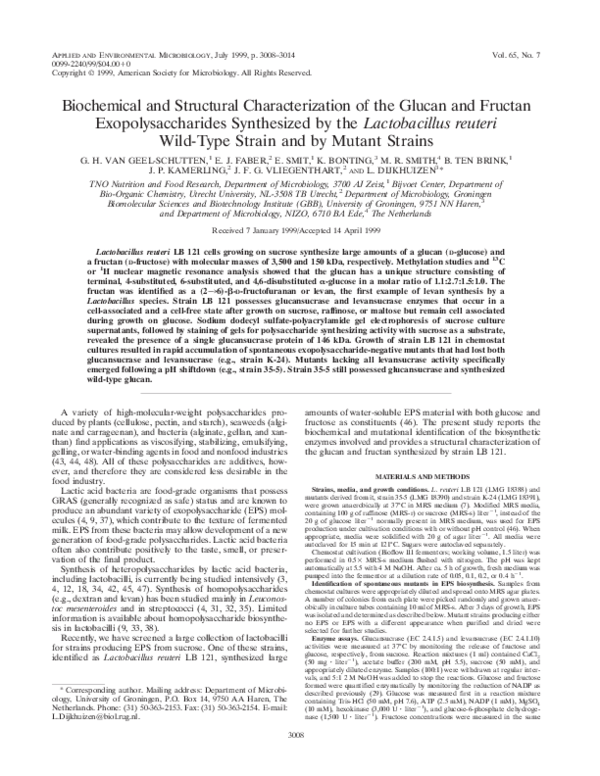 (PDF) Biochemical and Structural Characterization of the Glucan and ...