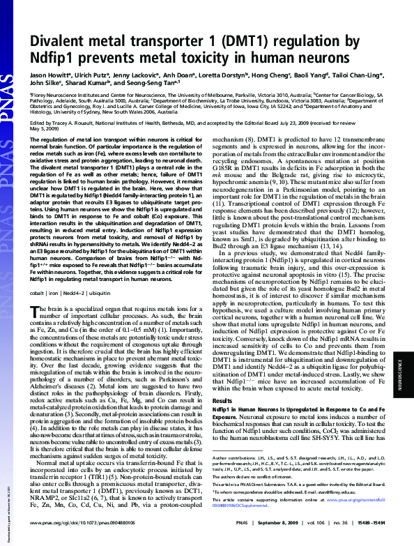 (PDF) Divalent metal transporter 1 (DMT1) regulation by Ndfip1 prevents ...