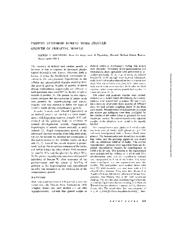 (PDF) Protein Synthesis During Work-Induced Growth of Skeletal Muscle