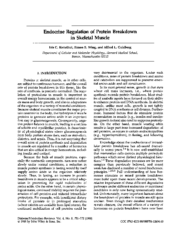 (PDF) Endocrine regulation of protein breakdown in skeletal muscle ...