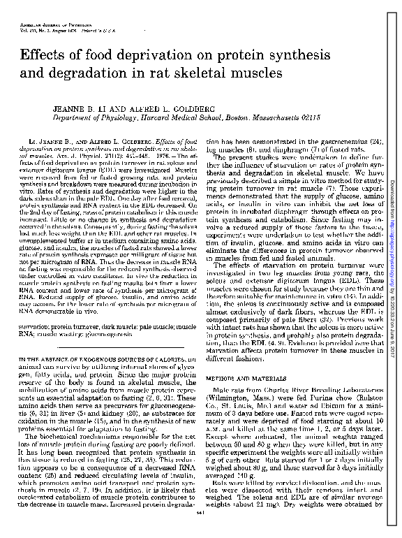 (PDF) Effects of food deprivation on protein synthesis and degradation ...