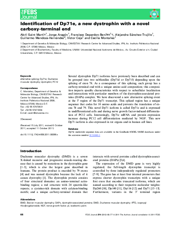 (PDF) Identification of Dp71e, a new dystrophin with a novel carboxy ...