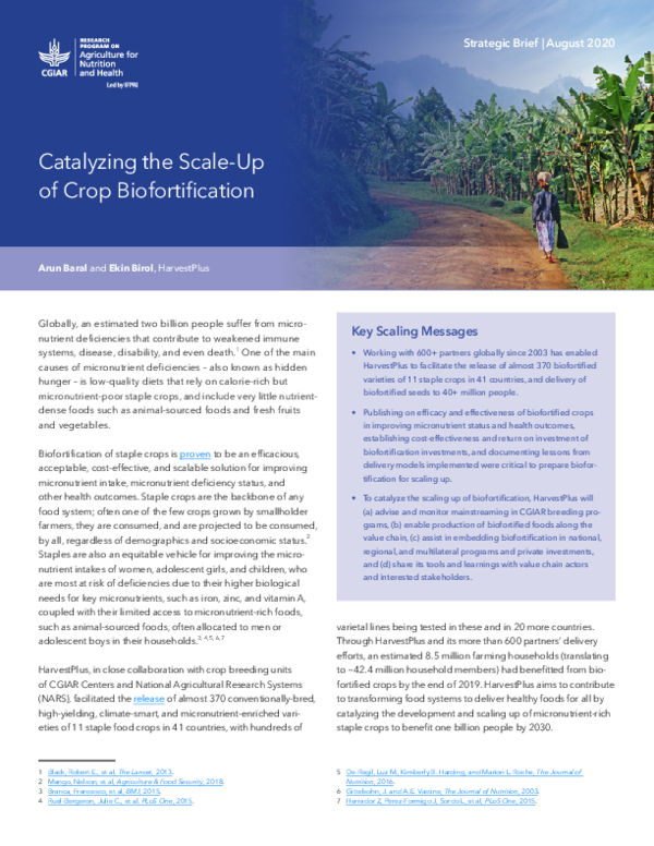 (PDF) Catalyzing the scale-up of crop biofortification