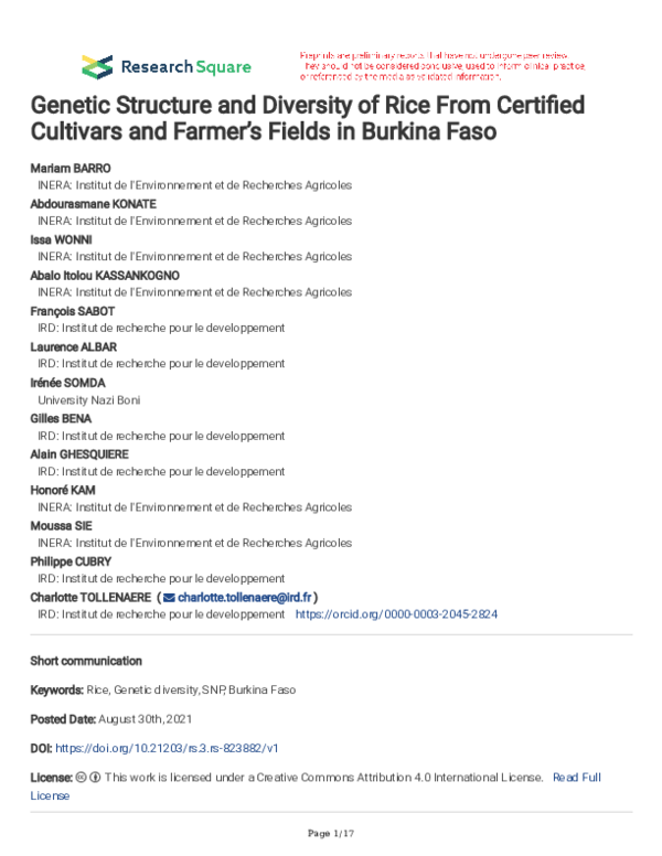 (PDF) Genetic Structure and Diversity of Rice From Certified Cultivars ...