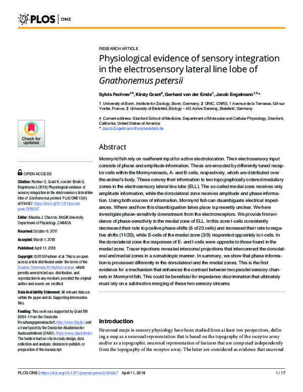 (PDF) Physiological evidence of sensory integration in the ...
