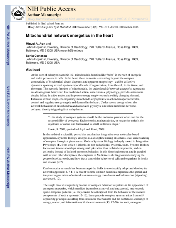 (PDF) Mitochondrial network energetics in the heart