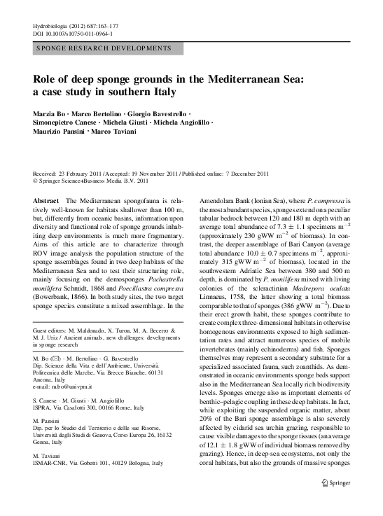 (PDF) Role of deep sponge grounds in the Mediterranean Sea: a case ...