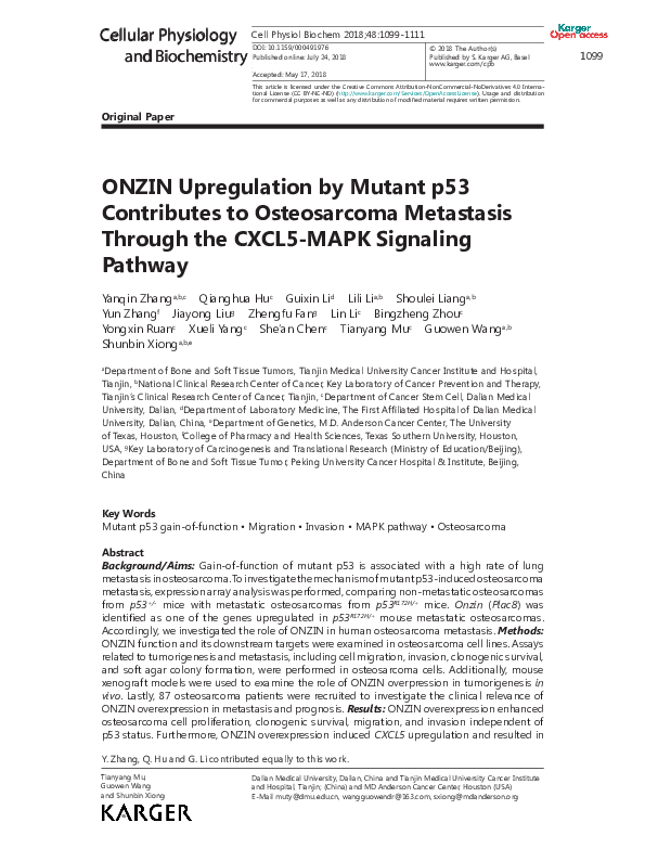 (PDF) ONZIN Upregulation by Mutant p53 Contributes to Osteosarcoma ...