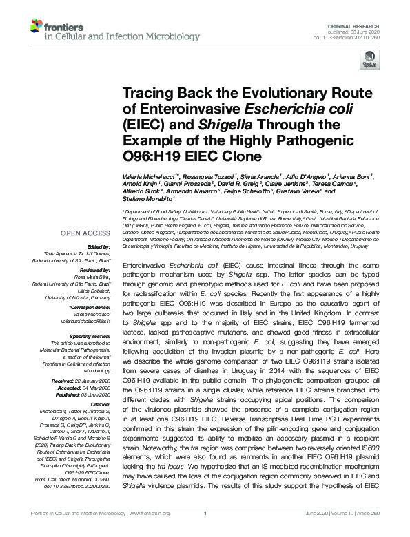 (PDF) Tracing Back the Evolutionary Route of Enteroinvasive Escherichia ...