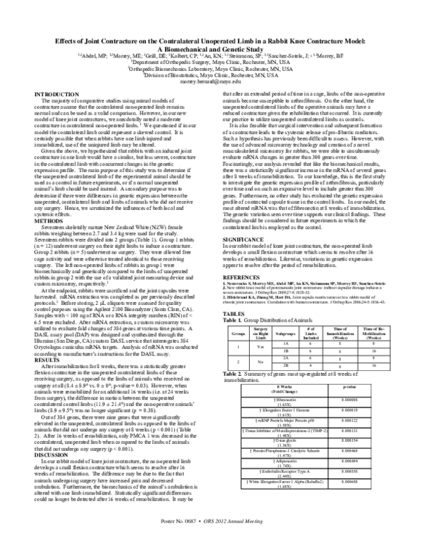 Curated visual reference: Gallery Detail: Pdf Effects Of Joint Contracture On The Contralateral Unoperated Limb