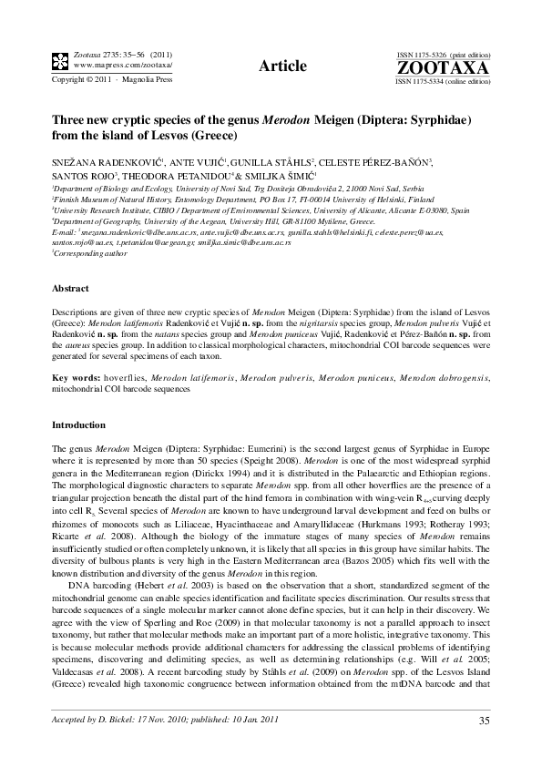 (PDF) Three new cryptic species of the genus Merodon Meigen (Diptera ...