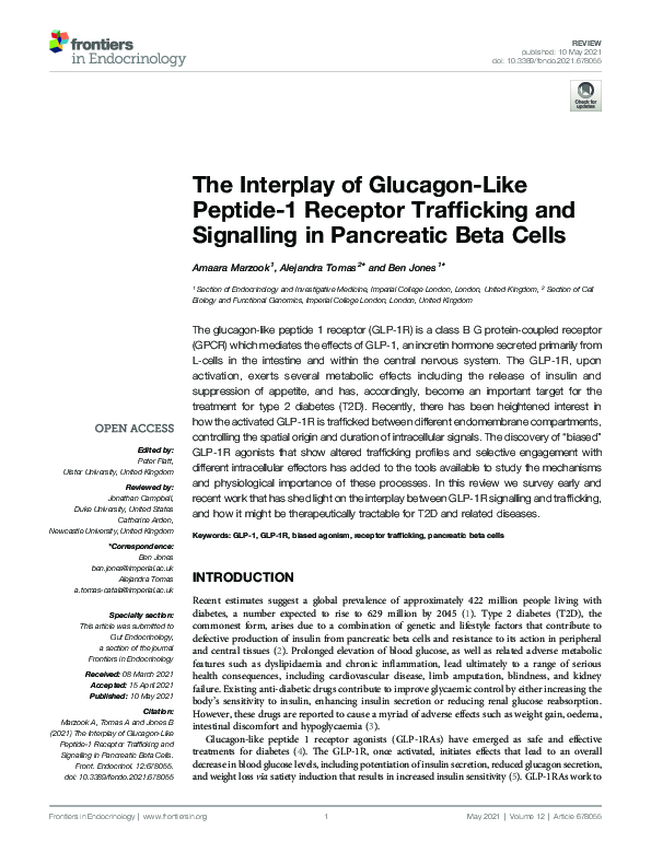 (PDF) The Interplay of Glucagon-Like Peptide-1 Receptor Trafficking and ...