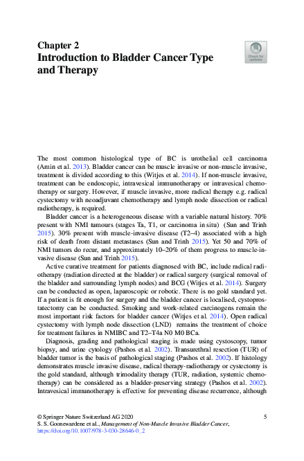 (PDF) Introduction to Bladder Cancer Type and Therapy