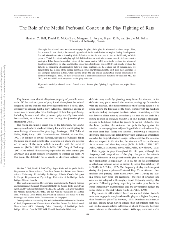 (PDF) The role of the medial prefrontal cortex in the play fighting of rats
