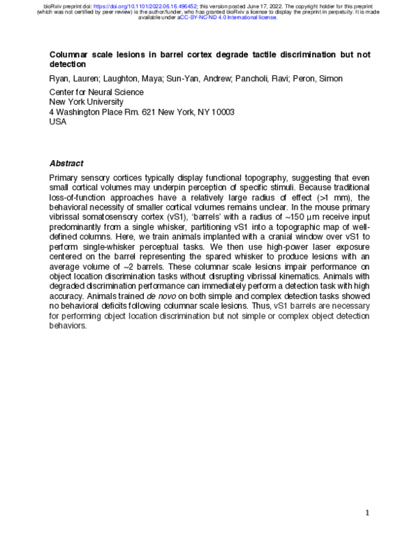 (PDF) Columnar scale lesions in barrel cortex degrade tactile ...