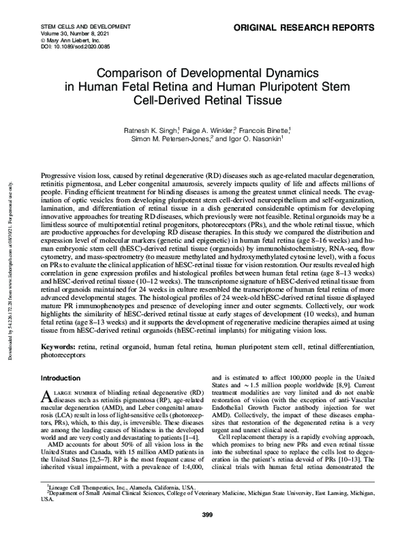 (PDF) Comparison of Developmental Dynamics in Human Fetal Retina and ...