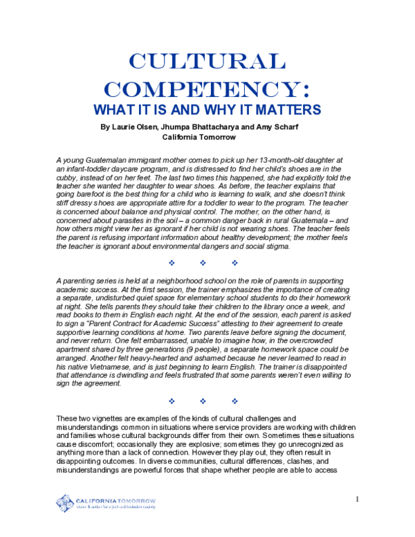 (PDF) Cultural Competency : What It is and Why It Matters
