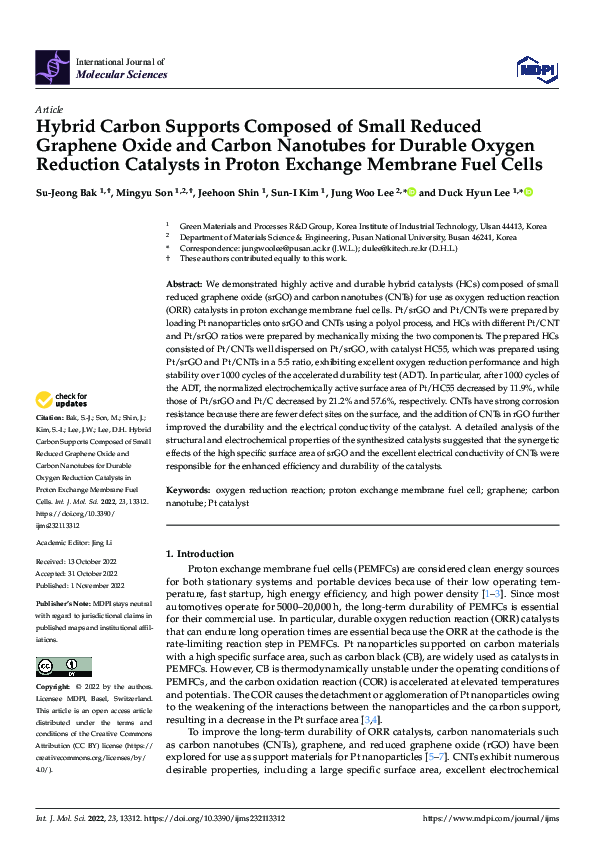 (PDF) Hybrid Carbon Supports Composed of Small Reduced Graphene Oxide ...