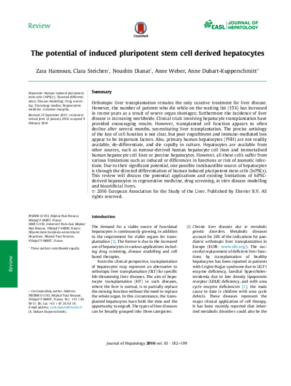 (PDF) The Potential of Induced Pluripotent Stem Cell derived Hepatocytes