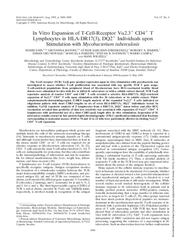 (PDF) In Vitro Expansion of T-Cell-Receptor Vα2.3+ CD4+ T Lymphocytes ...