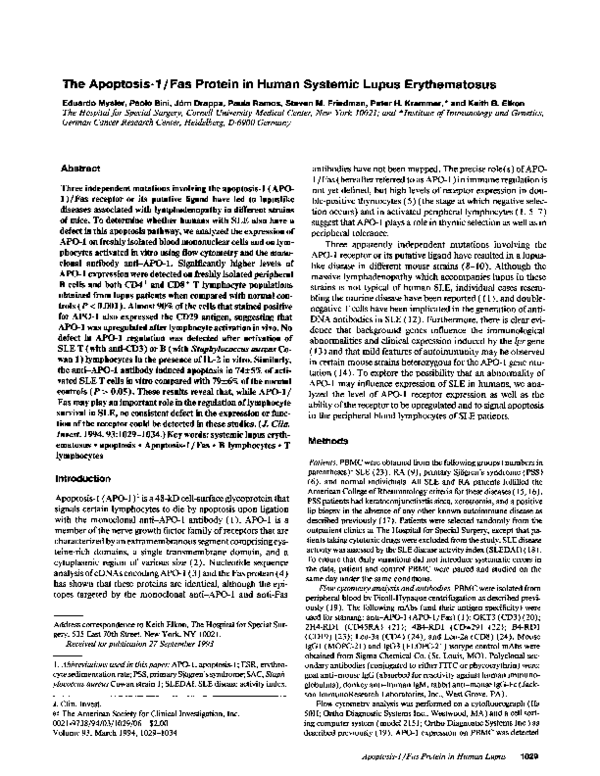 (PDF) The apoptosis-1/Fas protein in human systemic lupus erythematosus
