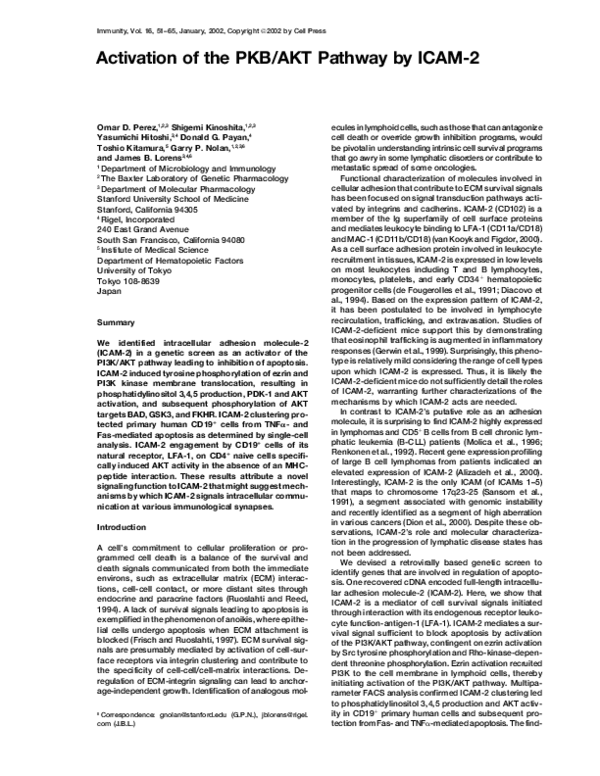 (PDF) Activation of the PKB/AKT Pathway by ICAM-2