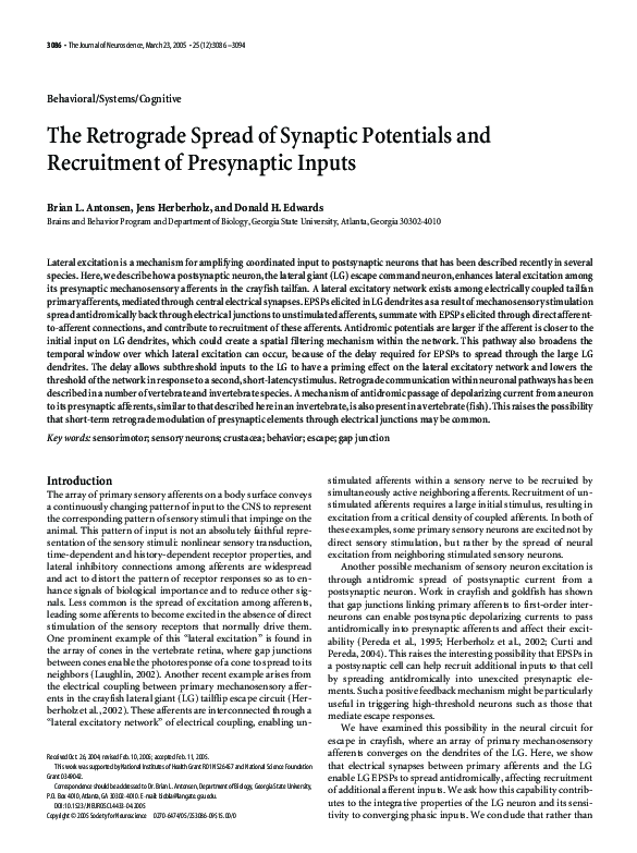 (PDF) The Retrograde Spread of Synaptic Potentials and Recruitment of ...