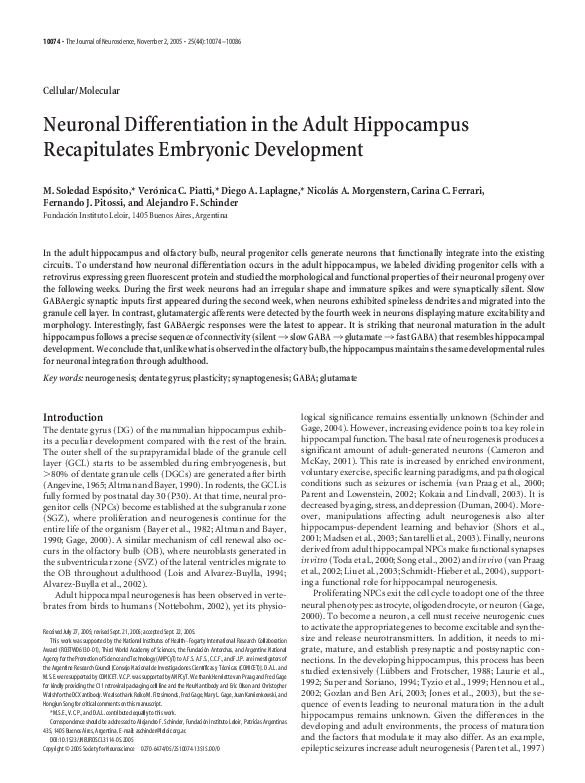 (PDF) Neuronal Differentiation in the Adult Hippocampus Recapitulates ...