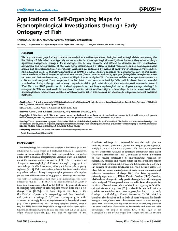 (PDF) Applications of Self-Organizing Maps for Ecomorphological ...
